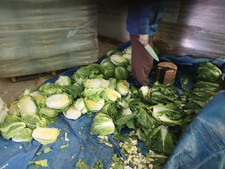 알 수 없음님의 우리동네 · 동네수다 작성글 사진