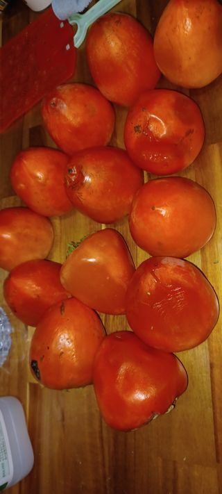 이.일신.꽃분아빠님의 최근 산 물건을 알려주세요! · 참여글 작성글 사진