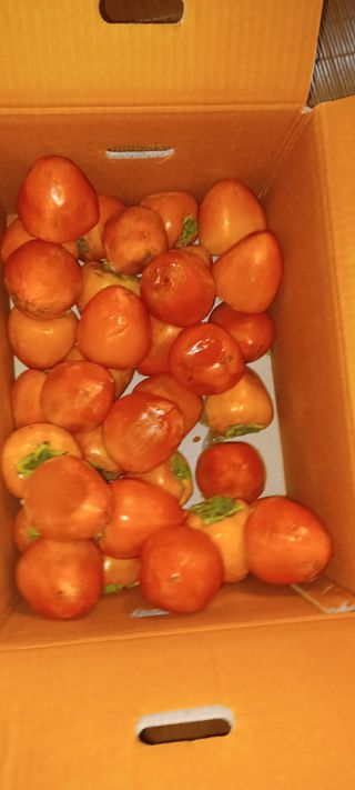 이.일신.꽃분아빠님의 최근 산 물건을 알려주세요! · 참여글 작성글 사진