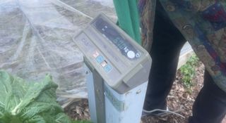 미래의 의사는 농부님의 배추 · 수확 작성글 사진