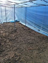 팜모닝 자유주제·자유게시판 게시글 이미지