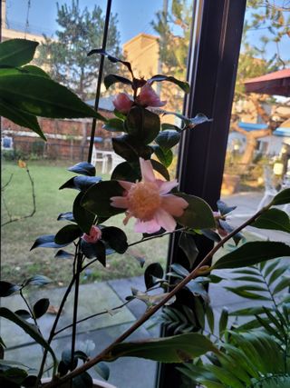 김유숙님의 자유주제 · 자유게시판 작성글 사진