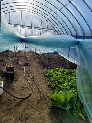 김유숙님의 자유주제 · 자유게시판 작성글 사진