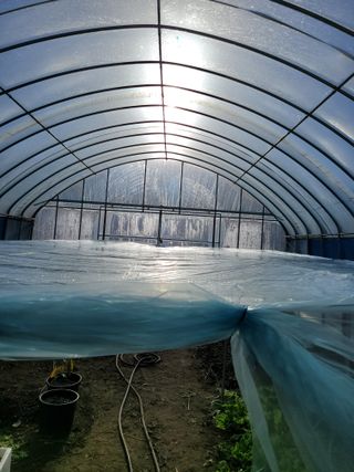 김유숙님의 자유주제 · 자유게시판 작성글 사진