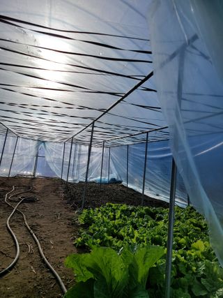 김유숙님의 자유주제 · 자유게시판 작성글 사진