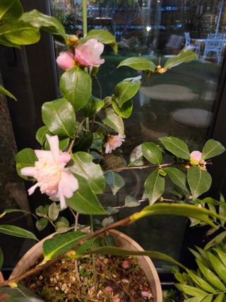 김유숙님의 자유주제 · 자유게시판 작성글 사진