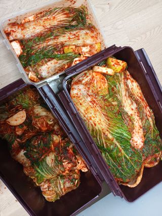 유외선님의 자유주제 · 자유게시판 작성글 사진