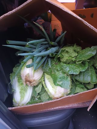 유외선님의 자유주제 · 자유게시판 작성글 사진