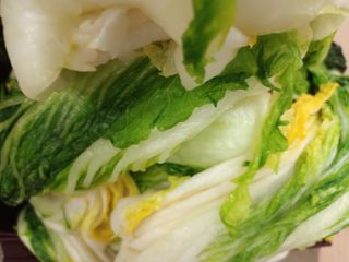 유외선님의 자유주제 · 자유게시판 작성글 사진