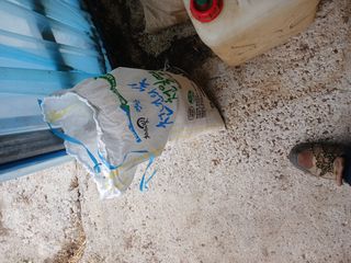 알 수 없음님의 자유주제 · 사진전 작성글 사진