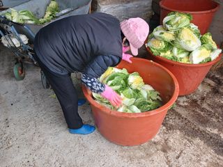 알 수 없음님의 자유주제 · 사진전 작성글 사진