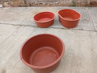 알 수 없음님의 자유주제 · 사진전 작성글 사진