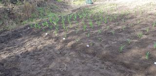 루이스장님의 작성글 사진