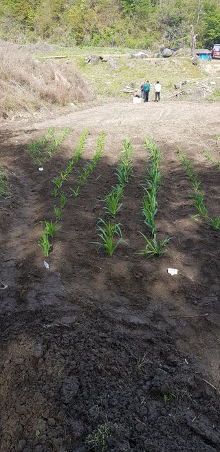 루이스장님의 작성글 사진