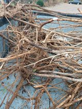 팜모닝 최근 산 물건을 알려주세요!·참여글 게시글 이미지