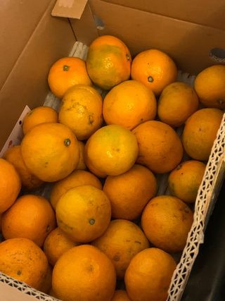 믿고사는농원-송미경님의 최근 산 물건을 알려주세요! · 참여글 작성글 사진