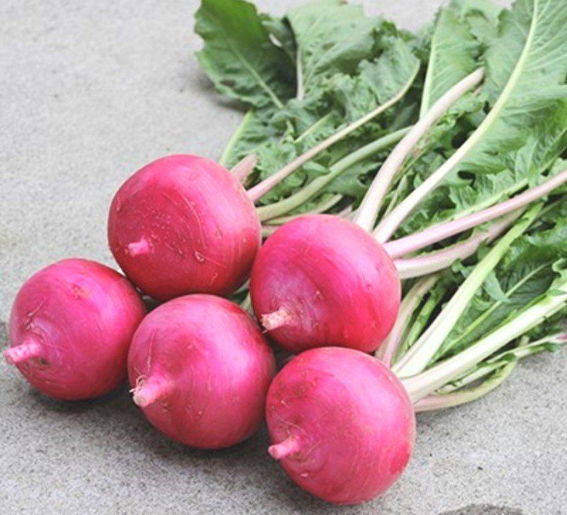 장터 상품 [복숭아 순무 (모모노스케) 판매합니다 ] 썸네일