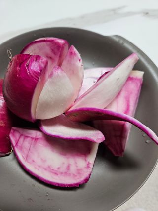 농업회사법인무지개주식회사님의 기타작물 · 자유게시판 작성글 사진