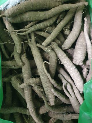 알 수 없음님의 자유주제 · 자유게시판 작성글 사진