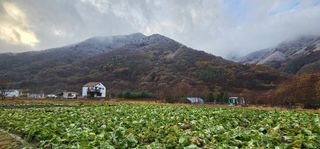 백용기님의 자유주제 · 자유게시판 작성글 사진