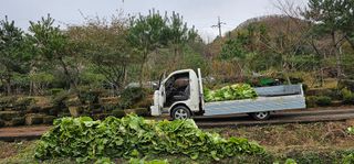 백용기님의 자유주제 · 자유게시판 작성글 사진