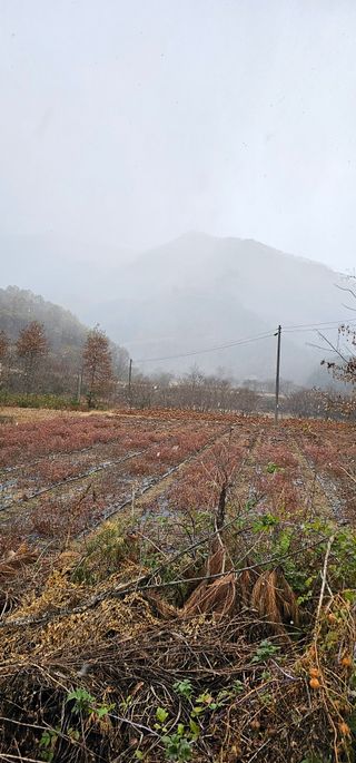 백용기님의 자유주제 · 자유게시판 작성글 사진