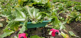 백용기님의 자유주제 · 자유게시판 작성글 사진