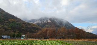 백용기님의 자유주제 · 자유게시판 작성글 사진