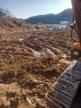 팜모닝 고추·영농일지 게시글 이미지