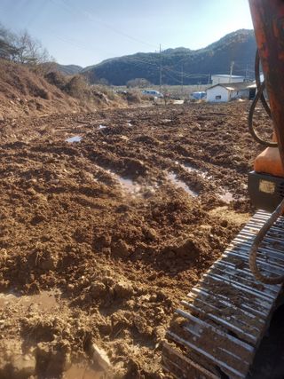 김용철님의 고추 · 영농일지 작성글 사진