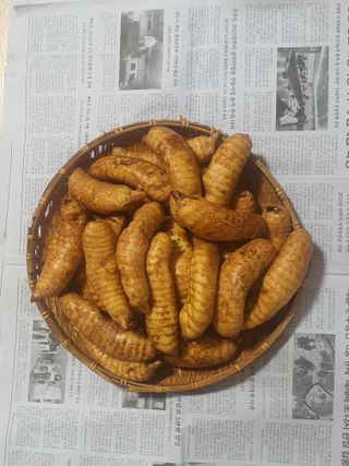 신태식님의 작성글 사진