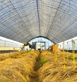 신태식님의 작성글 사진