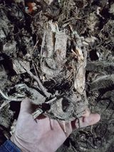 팜모닝 · 게시글 이미지