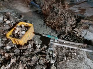 고원산야초 님의 작성글 사진