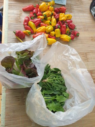 정옥성님의 자유주제 · 자유게시판 작성글 사진