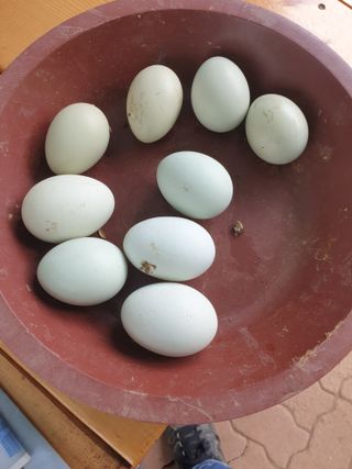 정옥성님의 자유주제 · 자유게시판 작성글 사진