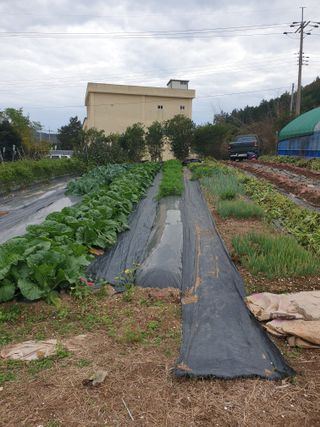정옥성님의 자유주제 · 자유게시판 작성글 사진