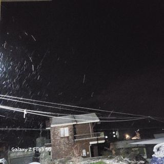 장유경만점자님의 우리동네 · 동네수다 작성글 사진