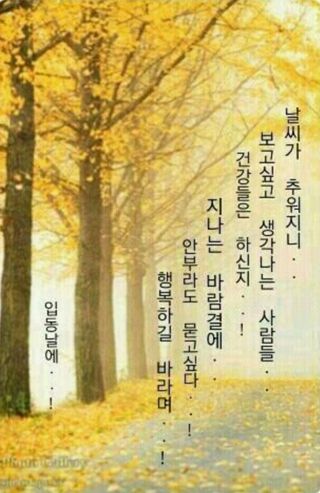 심수연님의 자유주제 · 자유게시판 작성글 사진