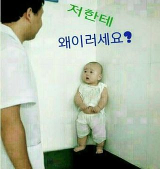 심수연님의 자유주제 · 자유게시판 작성글 사진