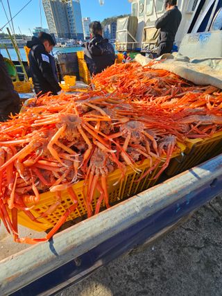 노가네수산님의 우리동네 · 동네정보 작성글 사진