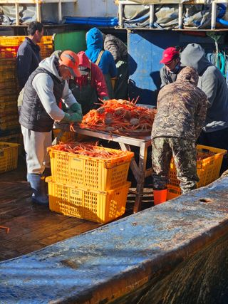노가네수산님의 우리동네 · 동네정보 작성글 사진
