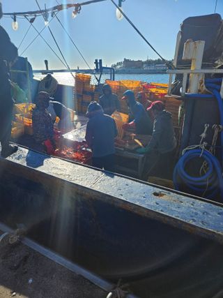 노가네수산님의 우리동네 · 동네정보 작성글 사진