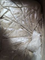 팜모닝 최근 산 물건을 알려주세요!·참여글 게시글 이미지