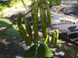 박희광님의 기타작물 · 자유게시판 작성글 사진