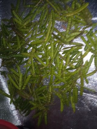 박희광님의 기타작물 · 자유게시판 작성글 사진