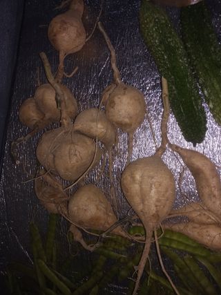 박희광님의 기타작물 · 자유게시판 작성글 사진