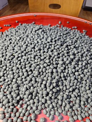 동글이선님의 작성글 사진