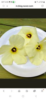 팜모닝 자유주제·자유게시판 게시글 이미지