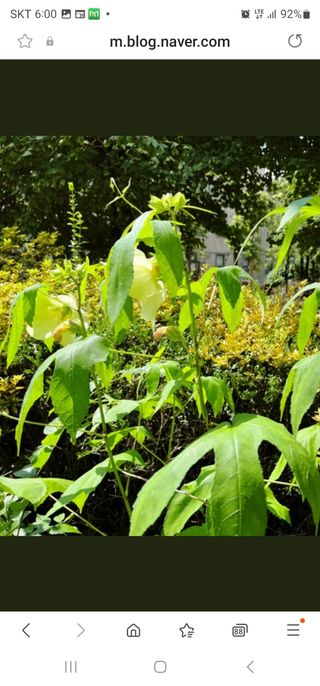 산삼님의 자유주제 · 자유게시판 작성글 사진